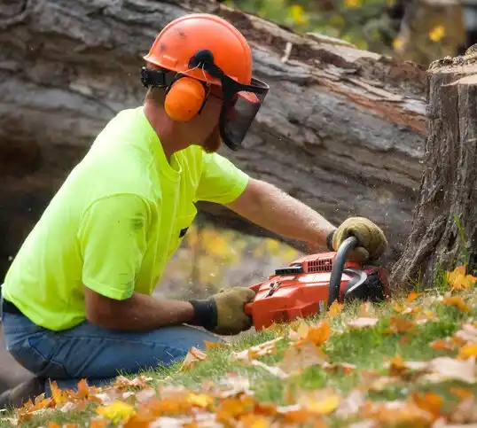 tree services White Castle